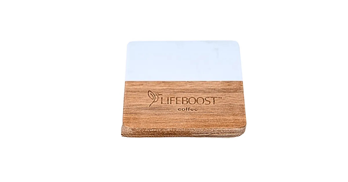 Lifeboost Coaster